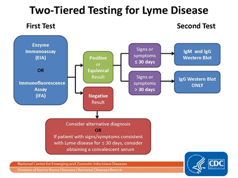 alere lyme test kit elisa|lyme disease testing results.